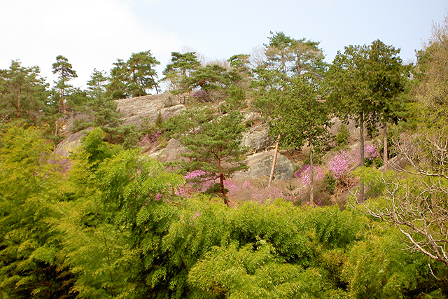 白砂公園